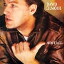 David Gilmour About Face Формат: Audio CD (Jewel Case) Дистрибьюторы: EMI Records Ltd , Gala Records Лицензионные товары Характеристики аудионосителей 2008 г Альбом: Российское издание инфо 9451g.